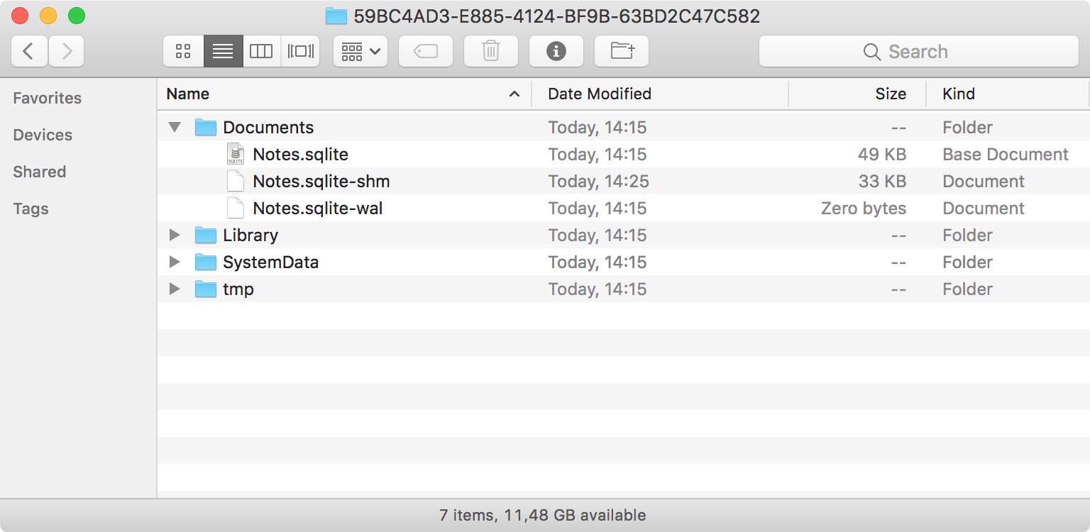 Inspecting the Application's Container