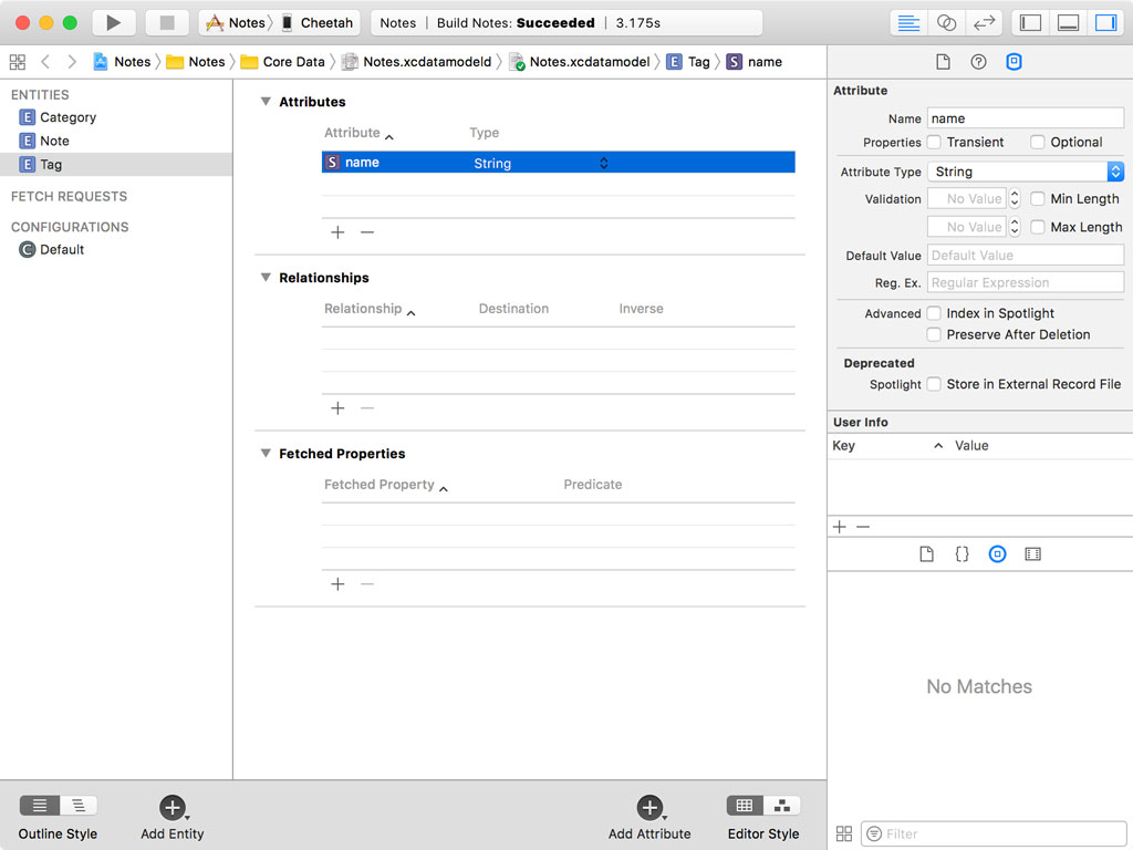 Adding the Tag Entity